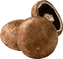Portabella ca Klass 1 ICA
