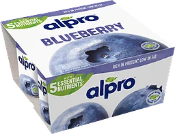 Plantgurt Blåbär 4-pack