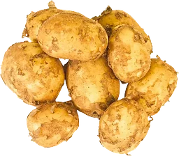 Färskpotatis otv