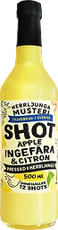 Shot Ingefära & citron