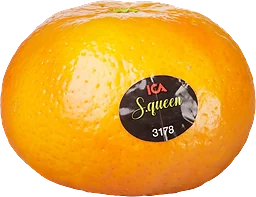 Satsumas ca Klass 1
