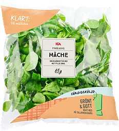 Finbladig Machesallat Sköljd