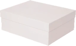 Presentbox Stor Rosa 20x24,5x9cm