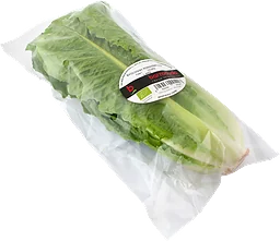 Romansallad Ekologisk Klass 1
