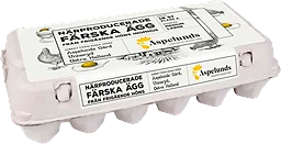 Ägg 18-pack M/L Frigående Inomhus