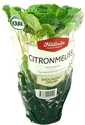 Citronmeliss Eko