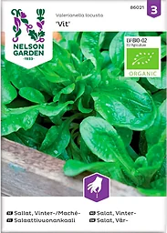 Sallat Maché Vinter Vit Organic 1-p