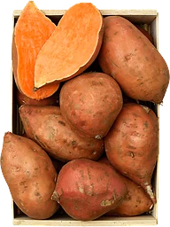 Sötpotatis Eko