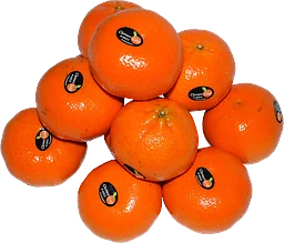 Clementiner