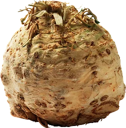 Rotselleri ca Klass 1 ICA