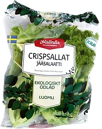 Sallat Crisp Eko