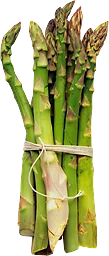 Sparris Grön