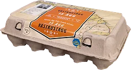 Västkustägg 15-pack M Frigående inomhus