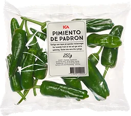 Pimiento de padron Klass 1