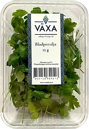 Bladpersilja Färsk