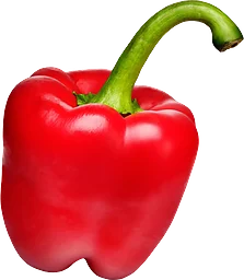 Paprika Röd 1-pack Klass 1