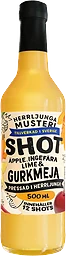 Ingefära & Gurkmeja Shot
