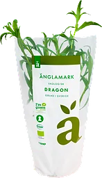 Dragon Kruka Eko