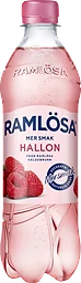 Kolsyrad bärdryck Mer Smak Hallon