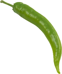 Paprika Sivri Klass 1