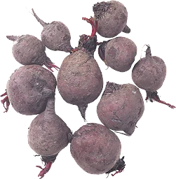 Rödbetor