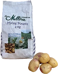 Potatis Mjölig