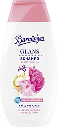 Schampo Glans