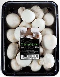 Champinjon
