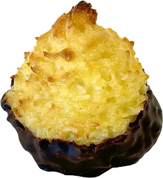 Cocostoppar 2-pack