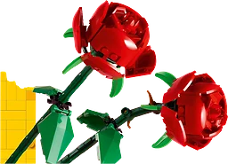 Rosor