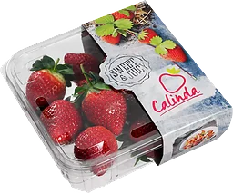Jordgubbar Calinda Klass 1