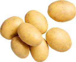 Potatis