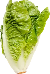 Romansallad Ekologisk