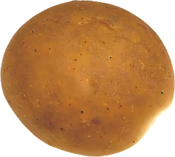 Vetebulle Slät
