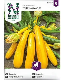 Squash, Yellowstar F1