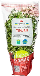 Timjan vertikalodlad Klass 1
