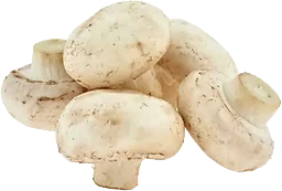 Champinjoner