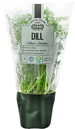 Dill
