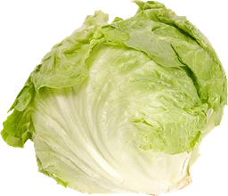 Isbergsallat