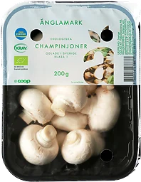 Champinjoner Eko