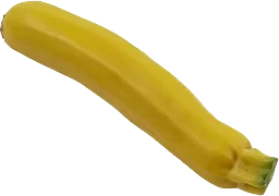 Zucchini Gul