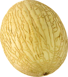Melon Waikiki