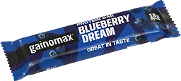 Blueberry Proteinbar