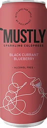 Kolsyrad fruktdryck Blueberry