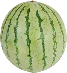 Vattenmelon
