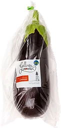 Aubergine Gällenäs Grönsaker