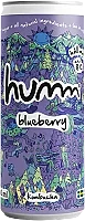 Kombucha Blueberry 0.5%