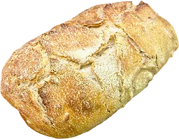 Bröd Durum Levain