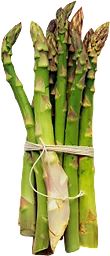 Sparris