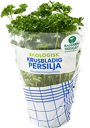 Kabbarp Persilja Eko